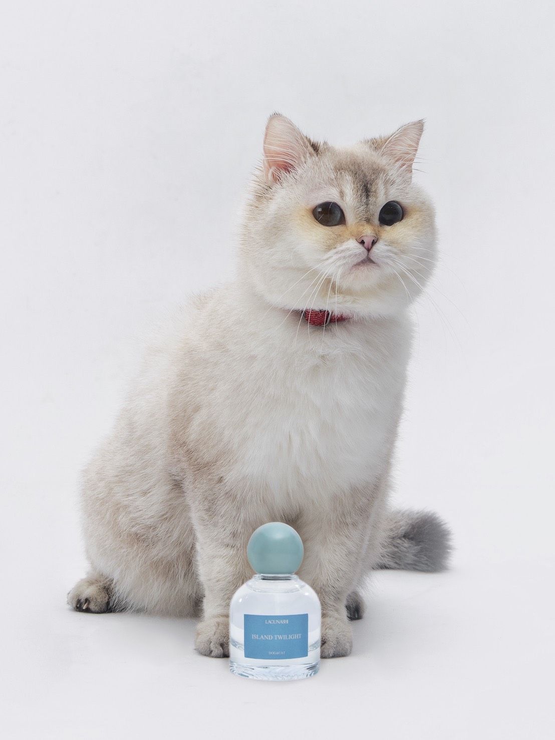 共生·日常保濕噴霧<br>嶼暮謐光 Dog&Cat:圖片 8