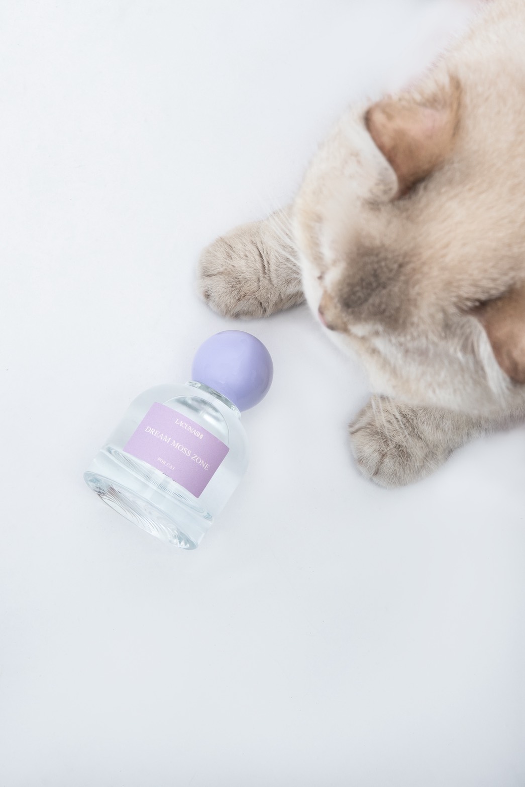 共生·日常保濕噴霧<br>夢苔境域 Dog&Cat:圖片 8