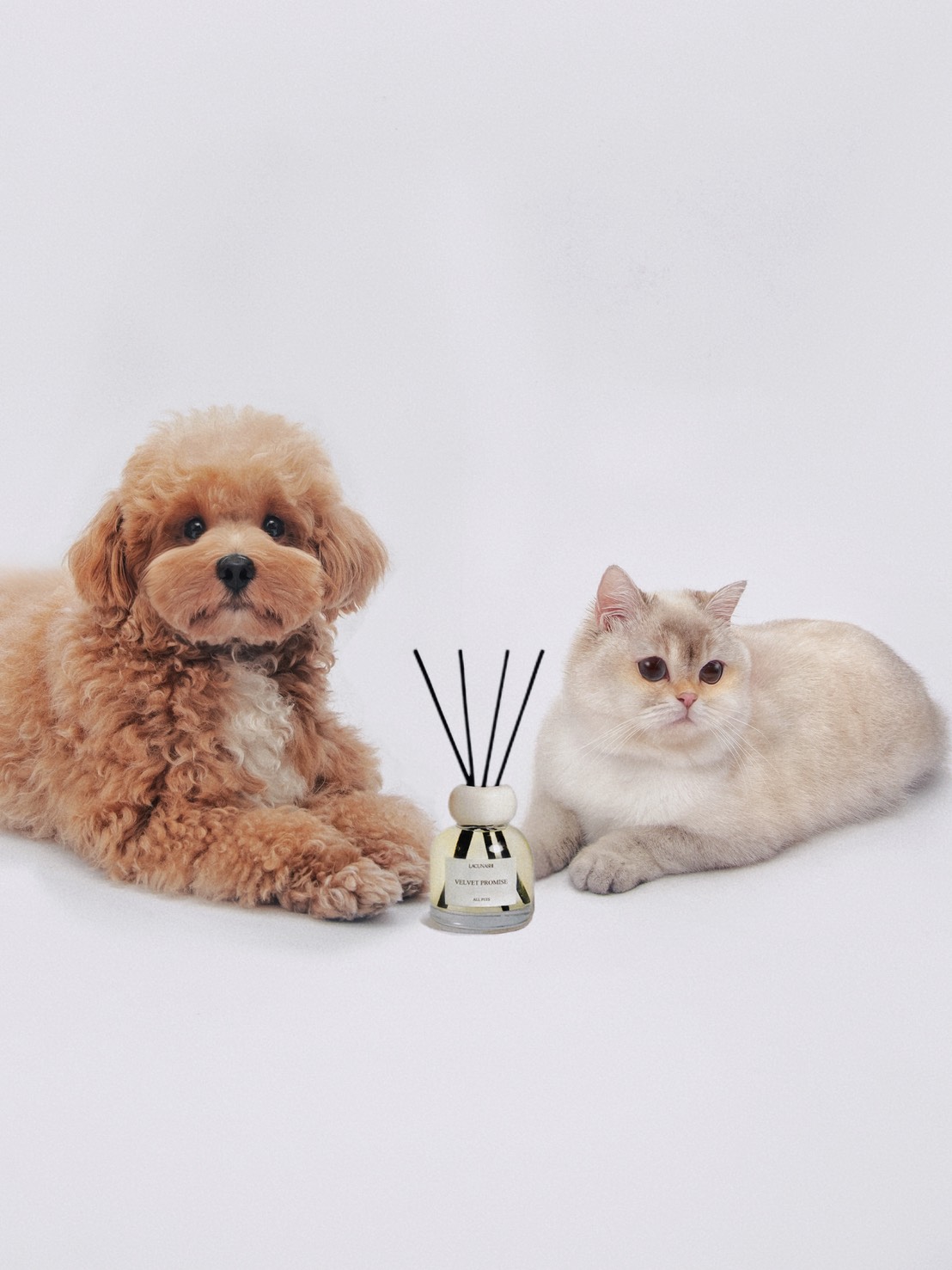 毛絨寓所・環境香氛<br>絨信誓約All Pets:圖片 5